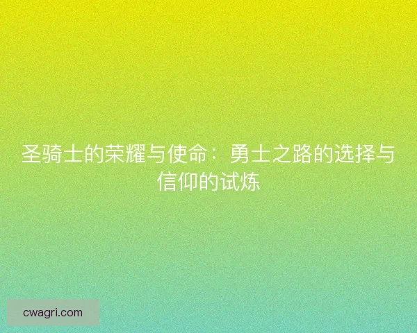 圣骑士的荣耀与使命：勇士之路的选择与信仰的试炼