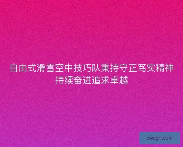 自由式滑雪空中技巧队秉持守正笃实精神持续奋进追求卓越