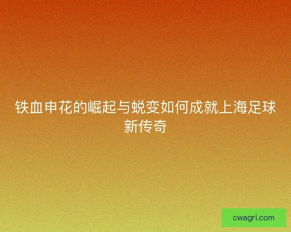 铁血申花的崛起与蜕变如何成就上海足球新传奇