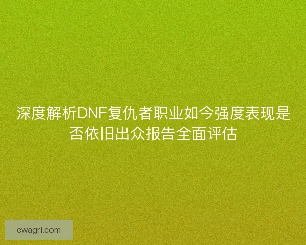 深度解析DNF复仇者职业如今强度表现是否依旧出众报告全面评估